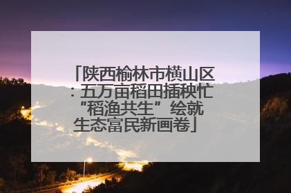 陕西榆林市横山区：五万亩稻田插秧忙 “稻渔共生”绘就生态富民新画卷