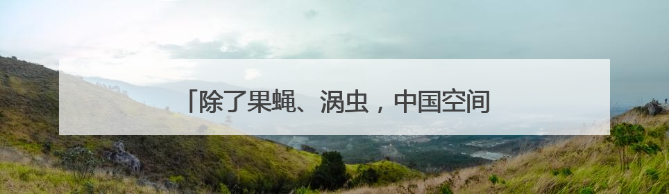 除了果蝇、涡虫，中国空间站还有哪些“动物航天员”