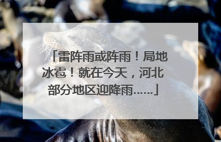 雷阵雨或阵雨！局地冰雹！就在今天，河北部分地区迎降雨……
