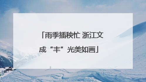 雨季插秧忙 浙江文成“丰”光美如画
