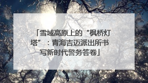 雪域高原上的“枫桥灯塔”：青海吉迈派出所书写新时代警务答卷