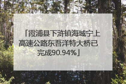 霞浦县下浒镇海域宁上高速公路东吾洋特大桥已完成90.94%