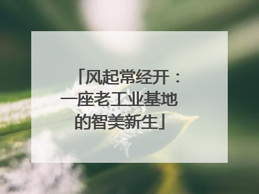 风起常经开：一座老工业基地的智美新生
