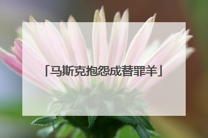 马斯克抱怨成替罪羊