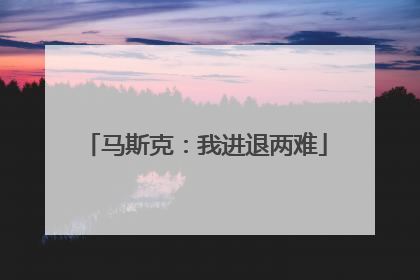马斯克：我进退两难