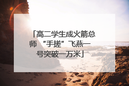 高二学生成火箭总师 “手搓”飞燕一号突破一万米