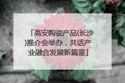 高安陶瓷产品(长沙)推介会举办，共话产业融合发展新篇章