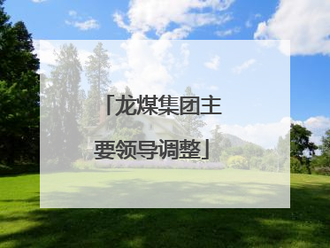 龙煤集团主要领导调整
