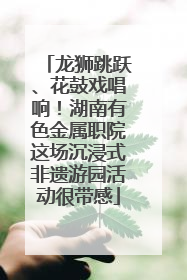 龙狮跳跃、花鼓戏唱响！湖南有色金属职院这场沉浸式非遗游园活动很带感