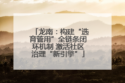 龙南：构建“选育管用”全链条闭环机制 激活社区治理“新引擎”