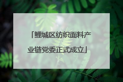 鲤城区纺织面料产业链党委正式成立