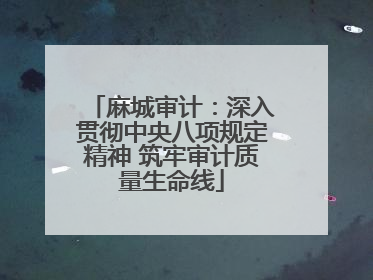 麻城审计：深入贯彻中央八项规定精神 筑牢审计质量生命线