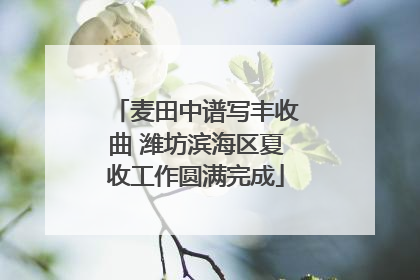 麦田中谱写丰收曲 潍坊滨海区夏收工作圆满完成
