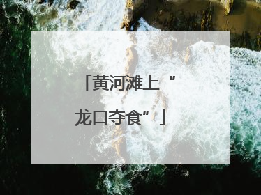 黄河滩上“龙口夺食”