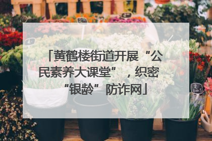 黄鹤楼街道开展“公民素养大课堂”，织密“银龄”防诈网
