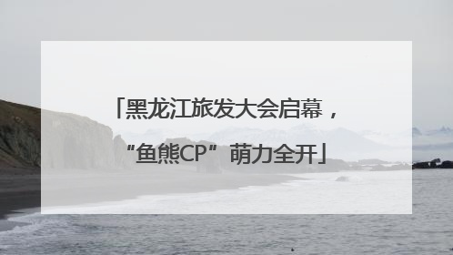 黑龙江旅发大会启幕，“鱼熊CP”萌力全开