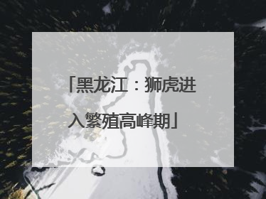 黑龙江：狮虎进入繁殖高峰期