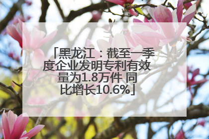 黑龙江：截至一季度企业发明专利有效量为1.8万件 同比增长10.6%