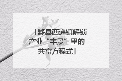 黟县西递镇解锁产业“丰景”里的共富方程式
