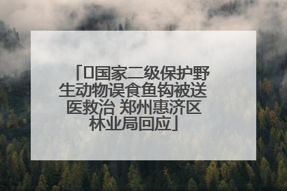 ﻿国家二级保护野生动物误食鱼钩被送医救治 郑州惠济区林业局回应
