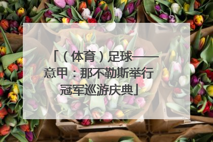 （体育）足球——意甲：那不勒斯举行冠军巡游庆典