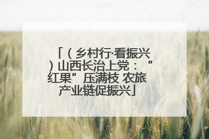（乡村行·看振兴）山西长治上党：“红果”压满枝 农旅产业链促振兴