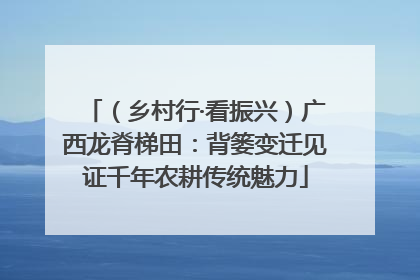 （乡村行·看振兴）广西龙脊梯田：背篓变迁见证千年农耕传统魅力