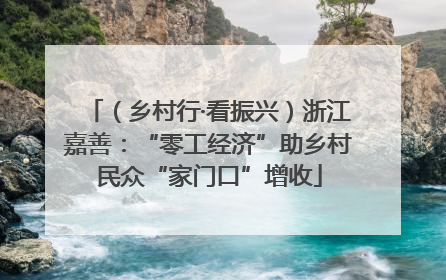 （乡村行·看振兴）浙江嘉善：“零工经济”助乡村民众“家门口”增收