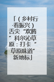 （乡村行·看振兴）舌尖“欢腾”科尔沁草原：打卡“草原味道”新地标