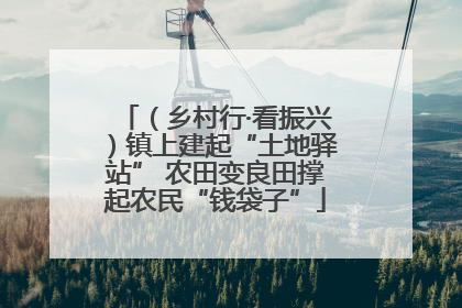 （乡村行·看振兴）镇上建起“土地驿站” 农田变良田撑起农民“钱袋子”
