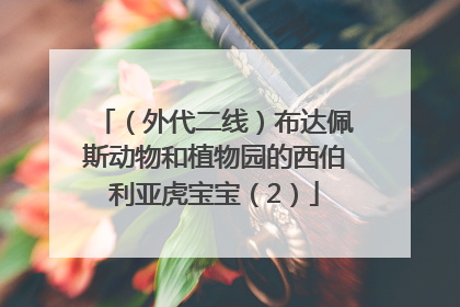 （外代二线）布达佩斯动物和植物园的西伯利亚虎宝宝（2）