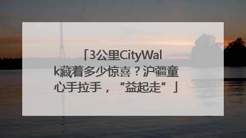 3公里CityWalk藏着多少惊喜？沪疆童心手拉手，“益起走”