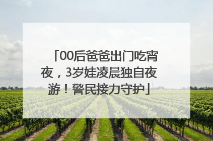 00后爸爸出门吃宵夜，3岁娃凌晨独自夜游！警民接力守护