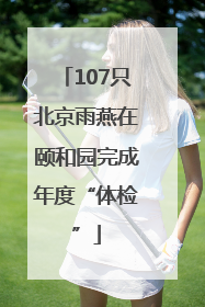 107只北京雨燕在颐和园完成年度“体检”