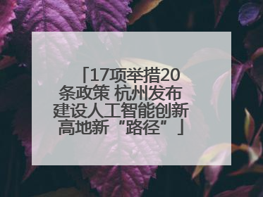 17项举措20条政策 杭州发布建设人工智能创新高地新“路径”