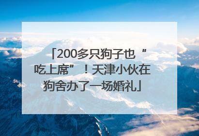 200多只狗子也“吃上席”！天津小伙在狗舍办了一场婚礼