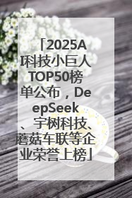 2025AI科技小巨人TOP50榜单公布，DeepSeek、宇树科技、蘑菇车联等企业荣誉上榜
