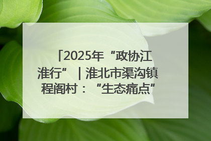 2025年“政协江淮行”｜淮北市渠沟镇程阁村：“生态痛点”变“生态景观”