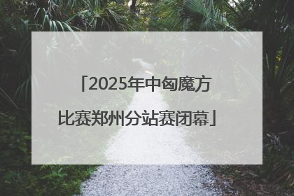 2025年中匈魔方比赛郑州分站赛闭幕