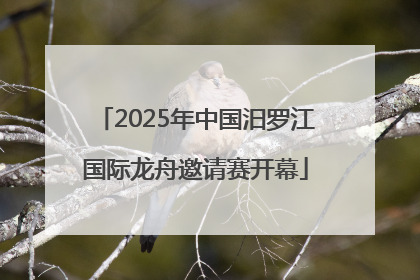 2025年中国汨罗江国际龙舟邀请赛开幕