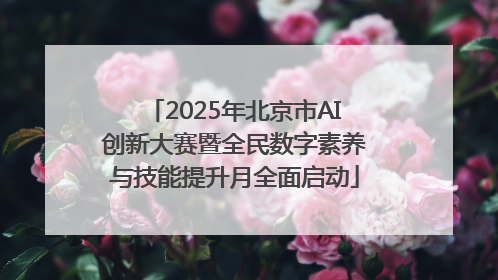 2025年北京市AI创新大赛暨全民数字素养与技能提升月全面启动