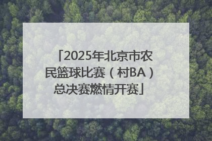 2025年北京市农民篮球比赛（村BA）总决赛燃情开赛