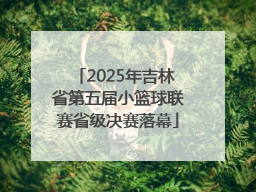 2025年吉林省第五届小篮球联赛省级决赛落幕