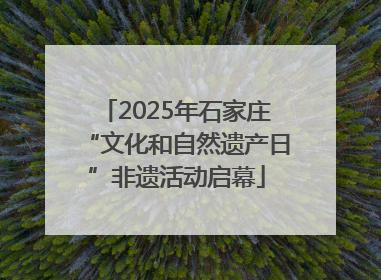 2025年石家庄“文化和自然遗产日”非遗活动启幕