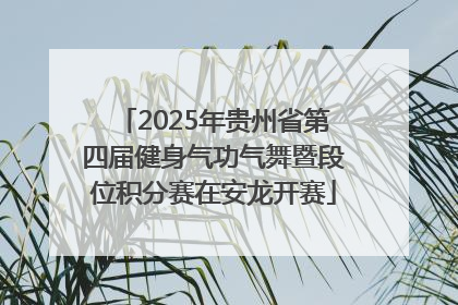 2025年贵州省第四届健身气功气舞暨段位积分赛在安龙开赛