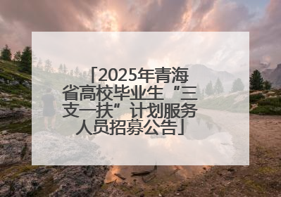 2025年青海省高校毕业生“三支一扶”计划服务人员招募公告