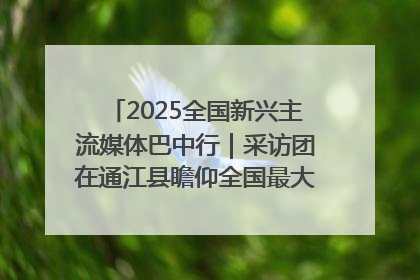 2025全国新兴主流媒体巴中行｜采访团在通江县瞻仰全国最大红军烈士陵园