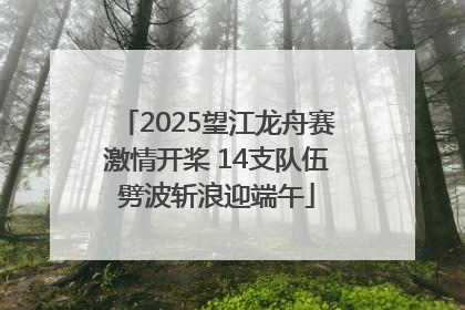 2025望江龙舟赛激情开桨 14支队伍劈波斩浪迎端午