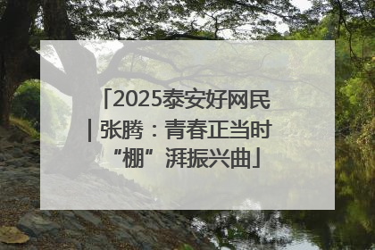 2025泰安好网民｜张腾：青春正当时 “棚”湃振兴曲