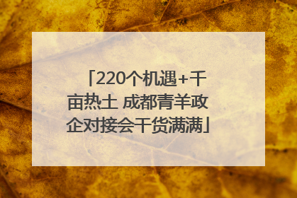 220个机遇+千亩热土 成都青羊政企对接会干货满满